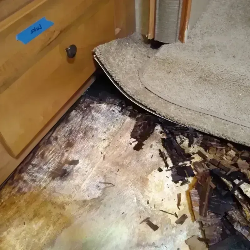 Wood Floor Water Damage in Pine Lake Park, NJ